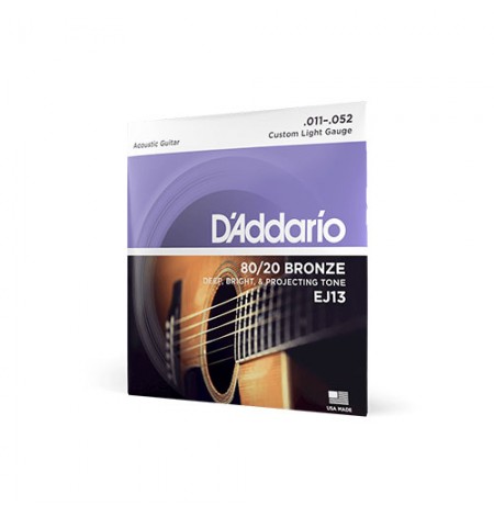 D'addario EJ13